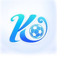 开云·体育(kaiyun)官方网站_KAIYUN SPORT